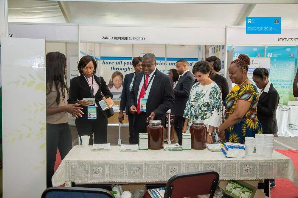 90a441 8eba430f597e4242b4cd2dd6bf843df9mv2